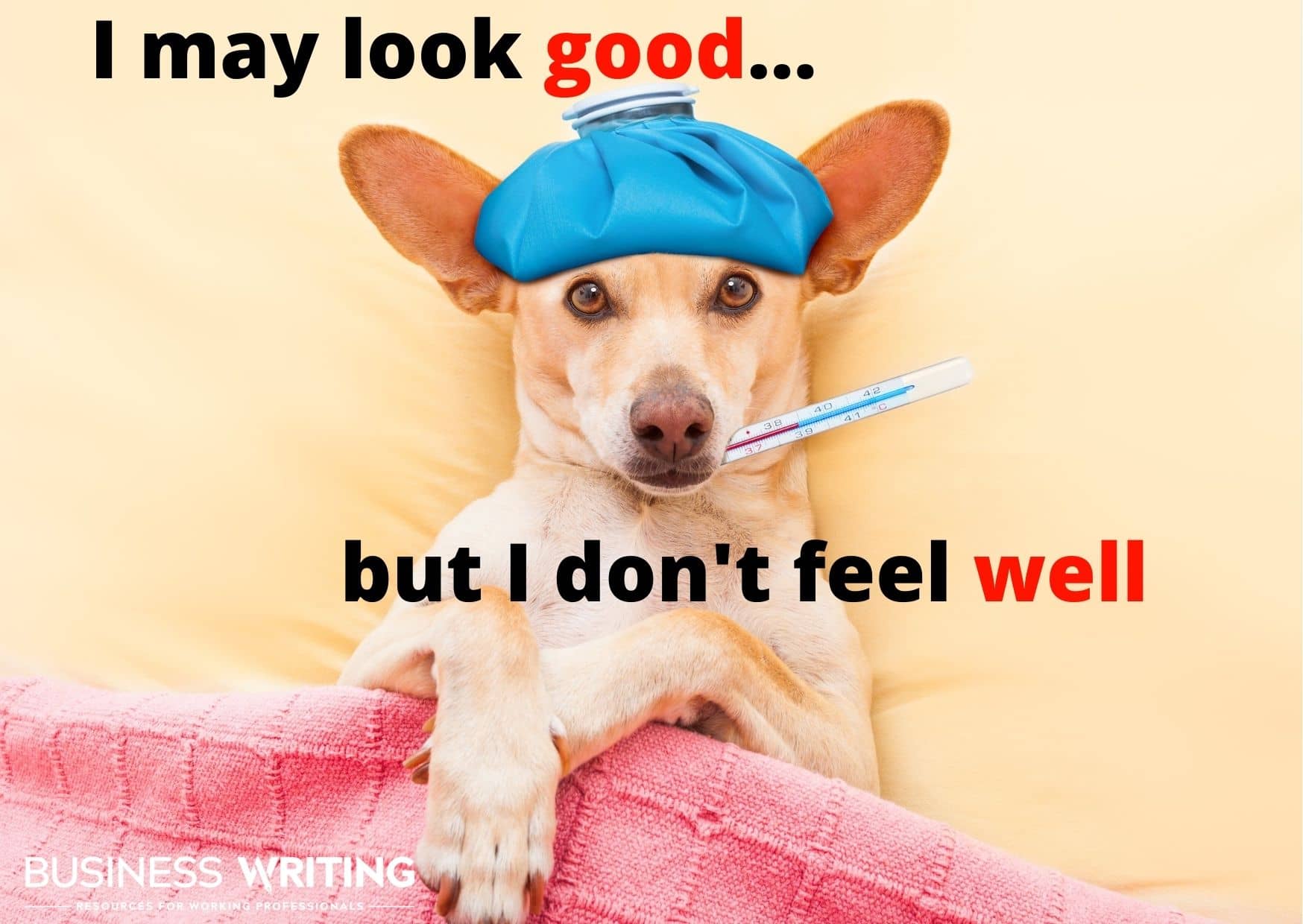 Graphic explaining the difference between good vs. well: I may look good, but I don't feel well (picture of a sick puppy)