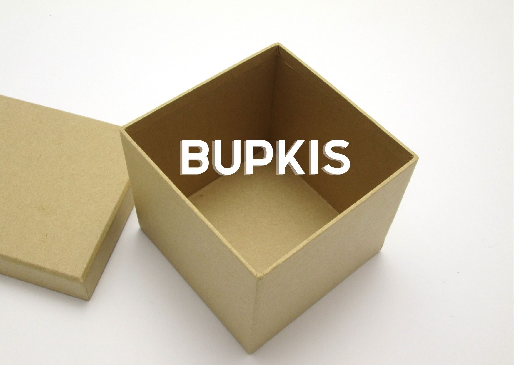 An empty box with the word bupkis