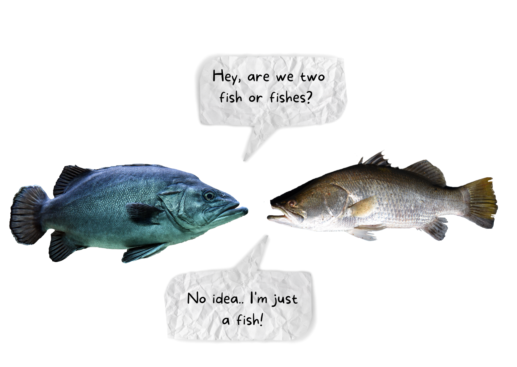 a picture of two fish facing each other. The speech bubble above the first fish says "are we 2 fishes or fish?" The second fish replied: "I have no idea. I am just a fish"