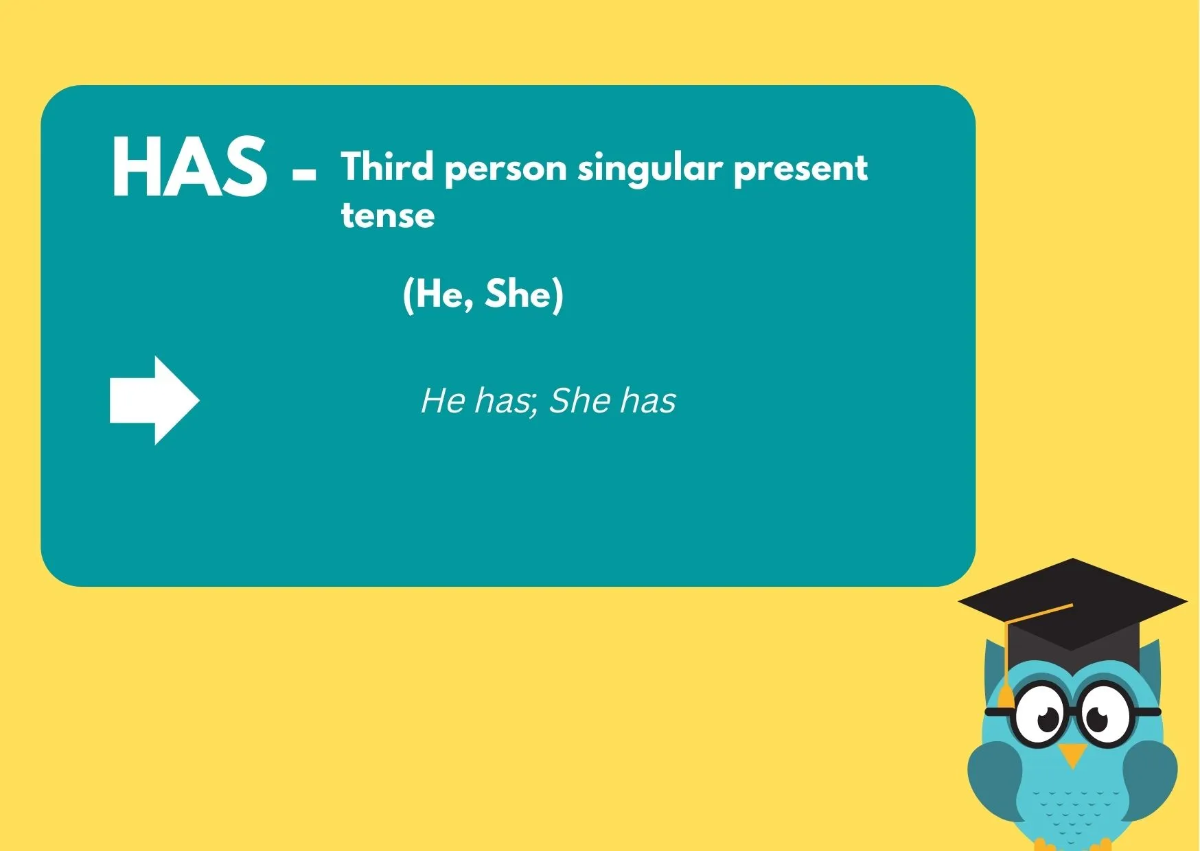 Graphic with an owl explaining how to use the word HAS: Third person singular present tense