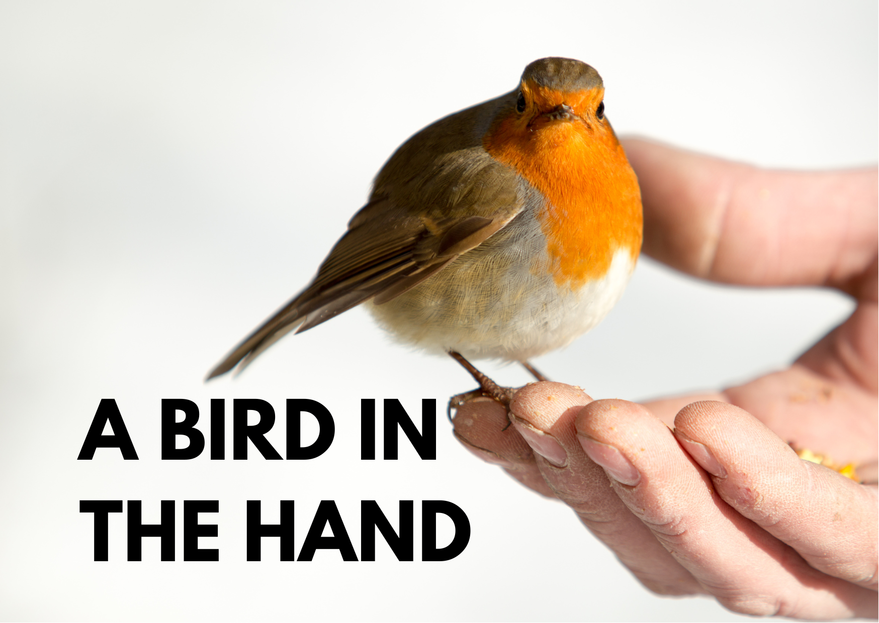 A picture of a hand stretched out with the words - a bird in the hand