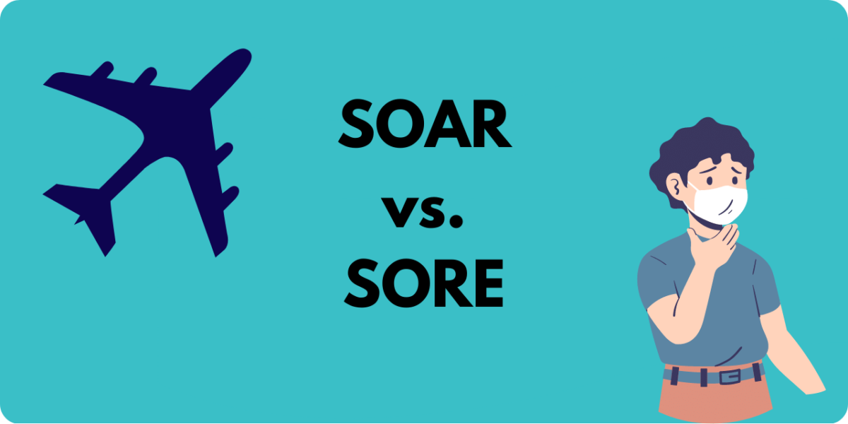 Featured image for soar vs. sore.